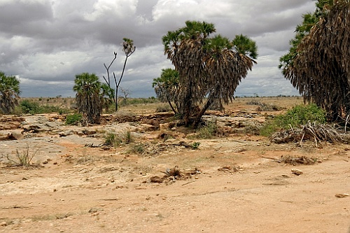Kenia (393)